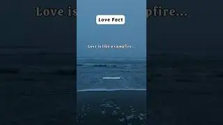 Love is like a campfire.... #facts #youtubeshorts