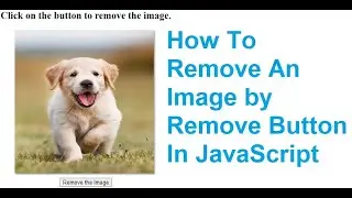 How To Remove An Image By Remove Button In JavaScript.