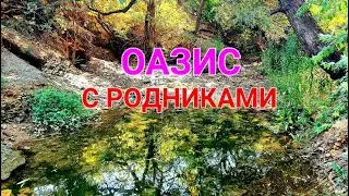 👍 Красивый родник Великий Дальник. Одесса и ее окрестности. Туризм сегодня. Лагуна. Рыбалка #зоотроп