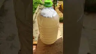 Лучший вариант закормки пчёл в зиму 