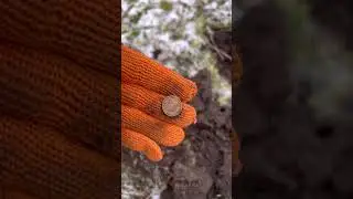 Коп в лесу Пришли БАРАНЫ 