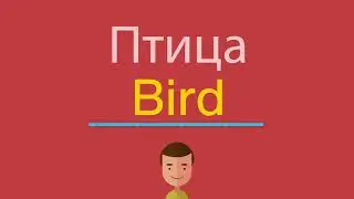 Птица по-английски