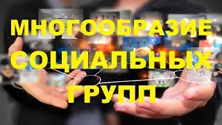 Социальные группы. Многообразие социальных групп.