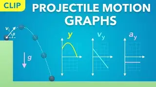 Projectile Motion Graphs (Clip) | Physics - Kinematics