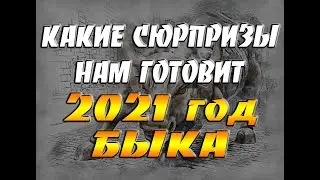 Какие сюрпризы нам готовит 2021 год Быка / Прогноз на Новый 2021 год