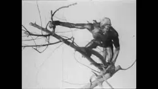 The Dinosaur and the Missing Link: A Prehistoric Tragedy (1917) Conquest Pictures Company