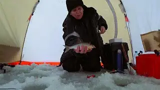 Зимняя рыбалка 😎🐟 27.11.2024 г.