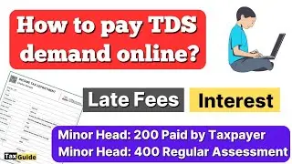 How to pay Late Fees of TDS return | How to pay TDS demand online | TDS Interest challan payment