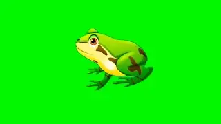 frog green screen video | frog green screen | frog jumping green screen