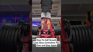 Keys To Calf Growth