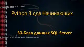 Python - Работа с Базами Данных SQL Server, подключение, запуск sql query, результат