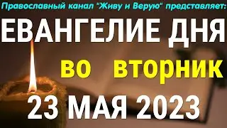 Евангелие дня. 23 мая 2023. Чтение от Иоанна, глава 12 стихи с 19 по 36. О пути к истинной славе