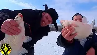 ВОТ ЭТО РЫБАЛКА, ЗАЧЁТНЫЕ ЛЕЩИ, ШАШЛЫК, ГОТОВКА В КАЗАНЕ! ЗИМНЯЯ РЫБАЛКА НА КОМБАЙНЫ.