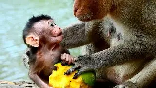 Extremely sweet Poor mom Amara with baby Annie and food in hand baby Annie