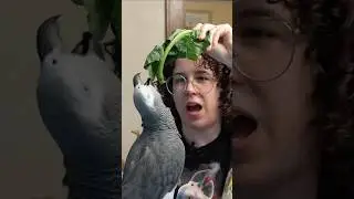 Deep Voice 