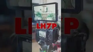 Quick Look at the LH7P from Portkeys