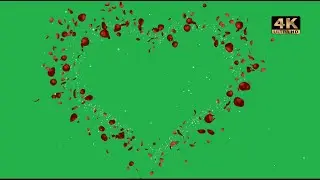 valentines day green screen | love heart green screen 4k free