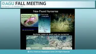 Fall Meeting 2012 Sverdrup Lecture: Deep Margins Under Pressure