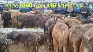 Жалал Абат Ак-Бата мол бозори Букалар нархлари 7 Январь 2 чи видео