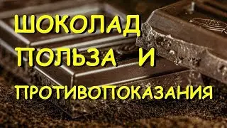 Шоколад. Польза и вред.