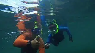 Шестилетка плавает лучше некоторых взрослых. А что вы развиваете в детях?