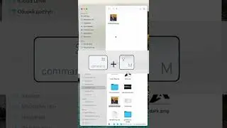 Копирование и перенос файлов в macOS