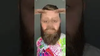 Мы зайца нашли 👋