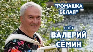 Песня РОМАШКА БЕЛАЯ ❤️ ❤️ ❤️ Поёт Валерий Сёмин ❤️