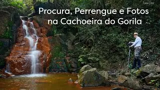 Procura, Perrengue e Fotos da Cachoeira do Gorila