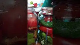 Элитные помидоры!На все зимние праздники! 