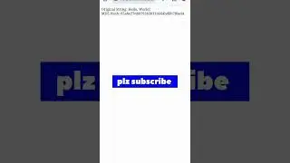 data encryption||MD5||programming war||