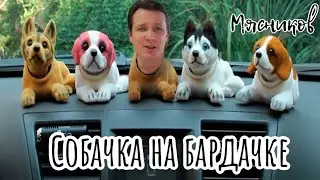 Собачка на бардачке