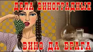 Дела виноградные. Вино да брага.