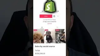 How To Go Viral On Tik Tok With Your Dropshipping Products 