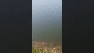 Красивый водоём 