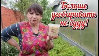 Как вас уговорить? Объявляю розыск. Огурцы из пасынков. Жизнь семьи в деревне.