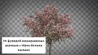 30 футажей деревьев