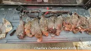 How to hunt Grouse without dog-Sudbury Ontario Canada 2022Oct22nd