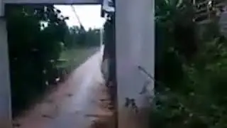 This bridge waving with the wind is so dangerous!