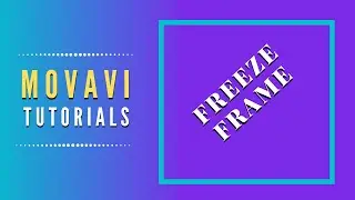 Freeze Frame - Movavi Video Editor Plus 2020  #29