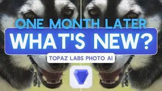 Topaz Photo AI Review (October 2022)