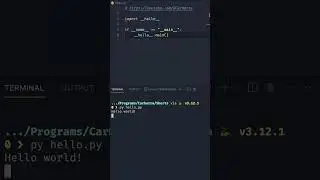 I bet you didn't know THIS about Python 