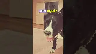 CONOCE LA HISTORIA DE EL SURTI Haz algo extraordinario con una acción tan simple como ir de compras.