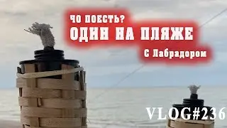 Дикарем с Лабрадором на море. Дом на колесах Скиф в заповеднике.