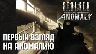 Первый взгляд на обновление Anomaly 1.5