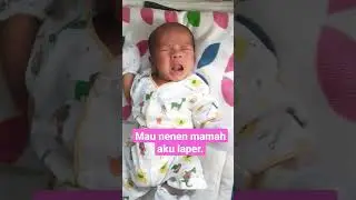lucu bayi satu bulan nangis manja pengen nenen asi mama. 