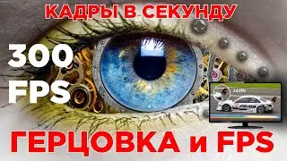 Скилл и 120, 144, 240 Гц, FPS и зрение человека / Правда и мифы - зачем высокогерцовый монитор?