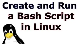 How to Create and Run a Bash Script in Linux | Shell Script In Linux