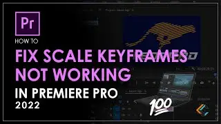 How to Fix Scale Keyframes Not Working | Adobe Premiere Pro | Learn Creative