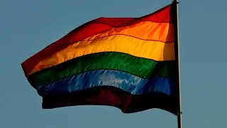 Feminist movement ‘hijacked’ by the ‘rainbow mafia’